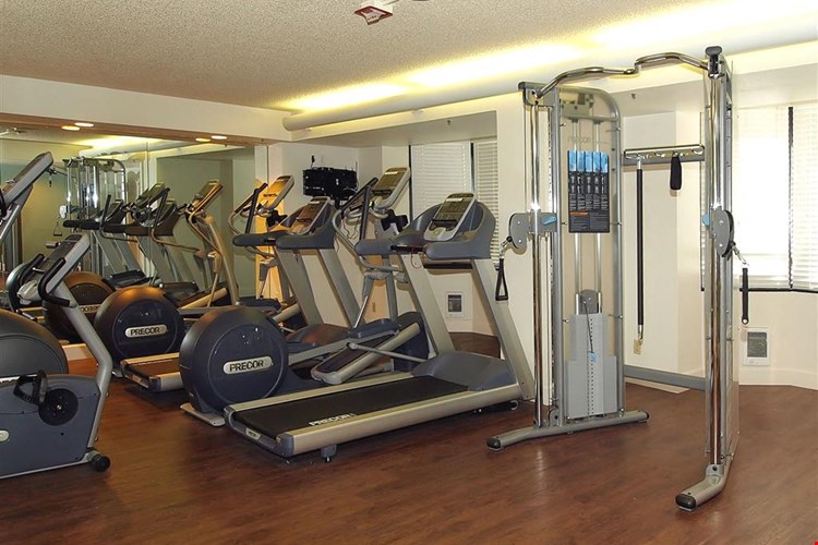 Tower 737 Condominium Rentals Image 14