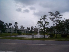 Palm Club West Image 1