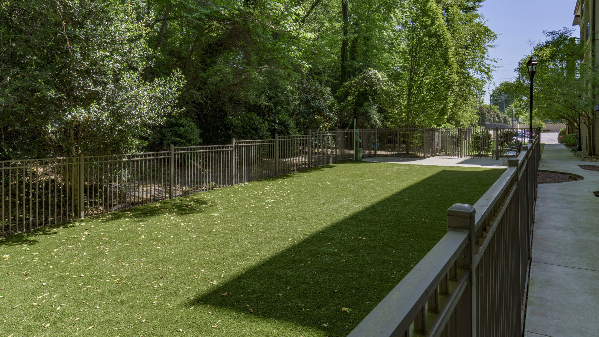 The Collection Image 23