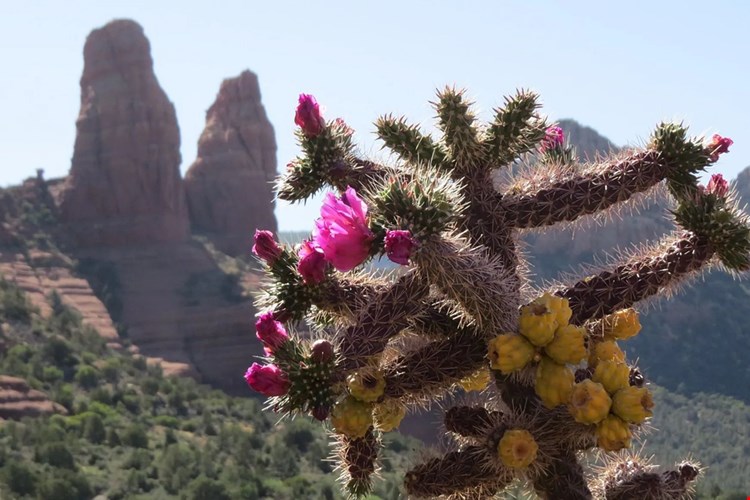 Enjoy close proximity to popular hiking spots like Camelback Mountain Loop at Exchange on the 8 Apartments in Mesa, Arizona!