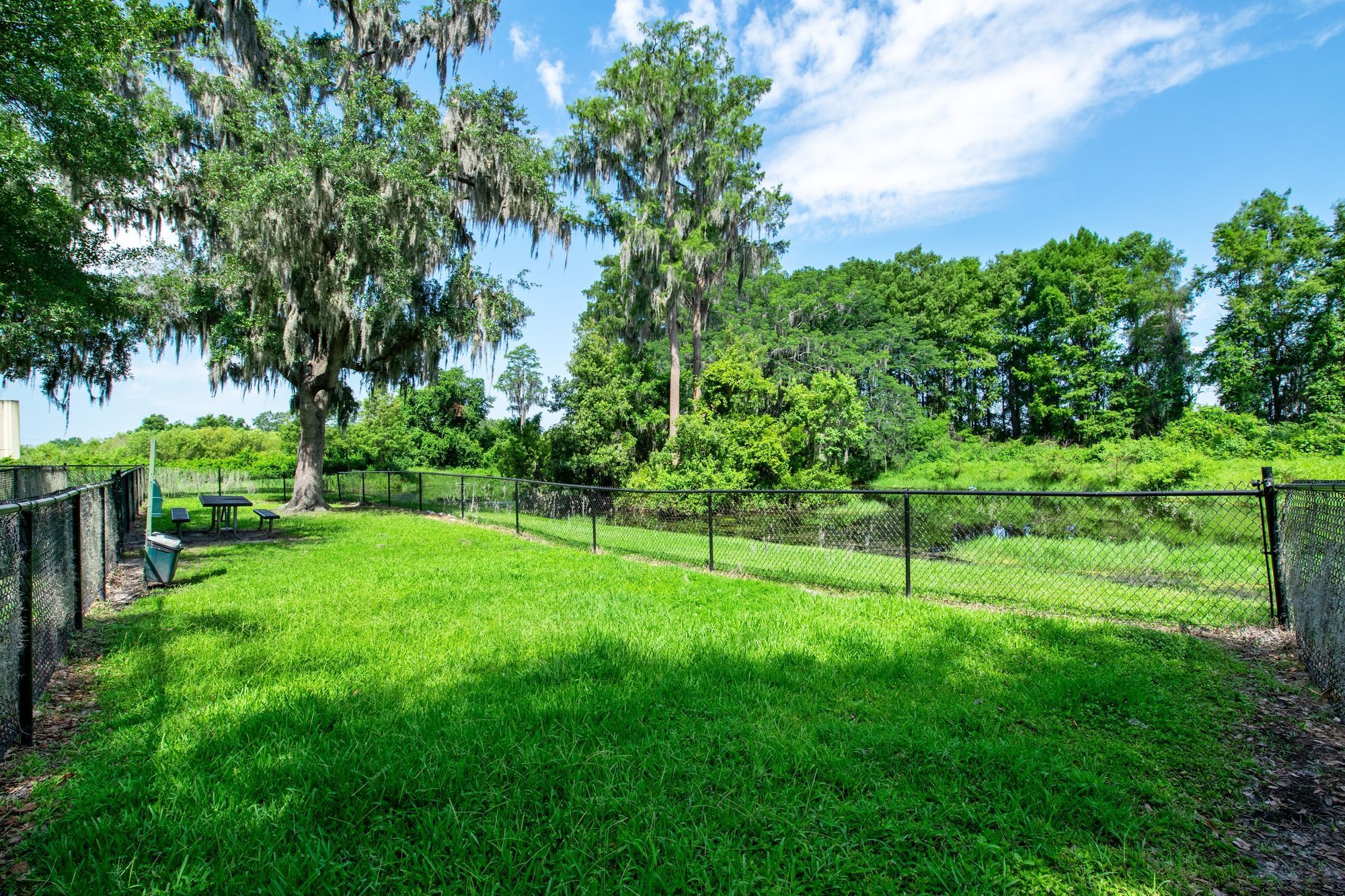 Twelve Oaks at Windemere Image 26