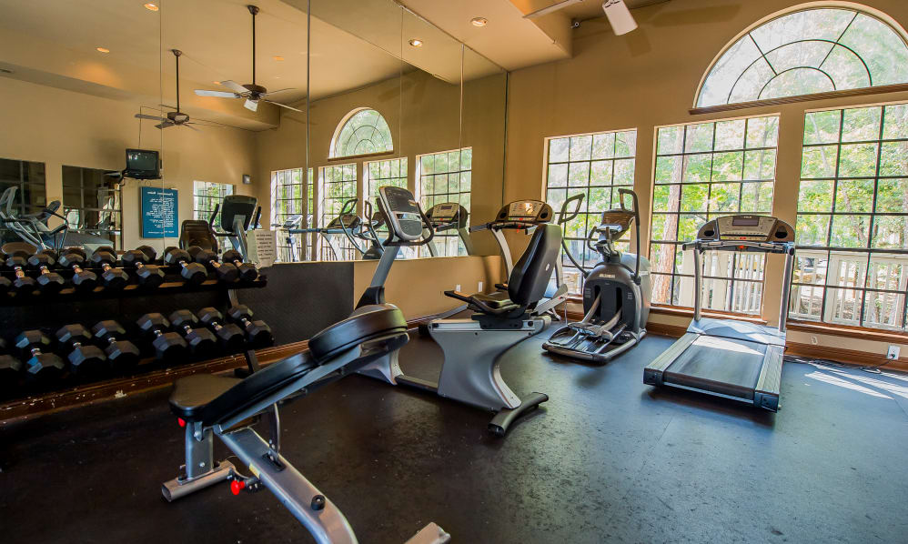 The Trace of Ridgeland Image 6