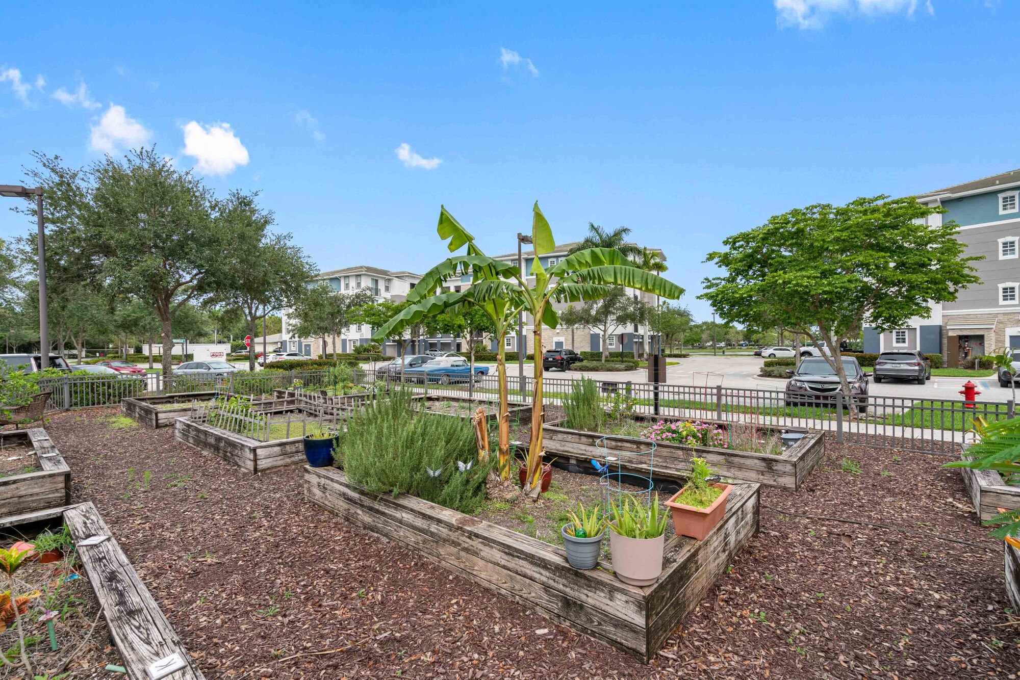 Axis Wellington Green Image 36