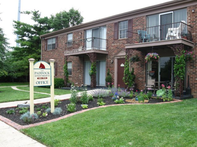 The Paddock Apartments Image 1