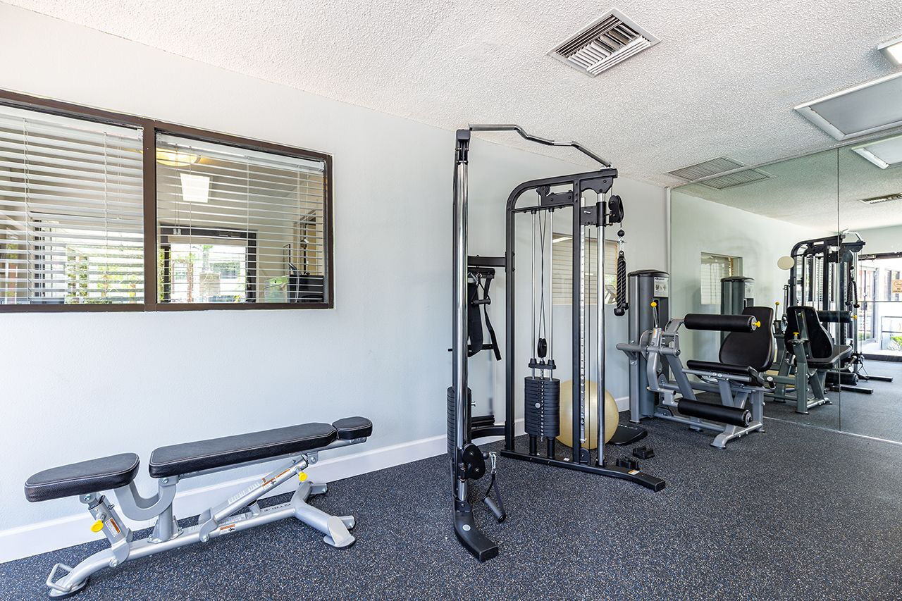 Palms at Sand Lake Image 5