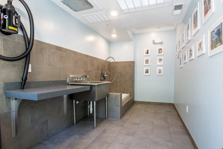 Fountain View on the Plaza Image 9