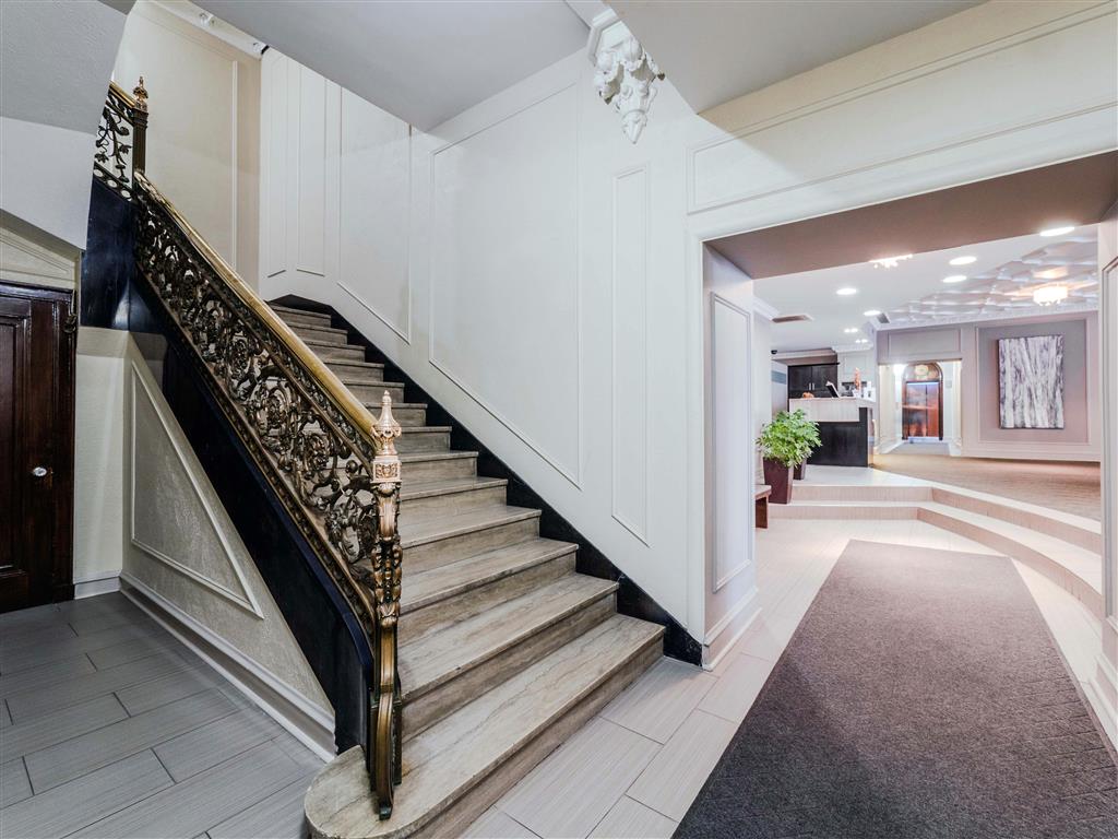 The Patricians Image 2