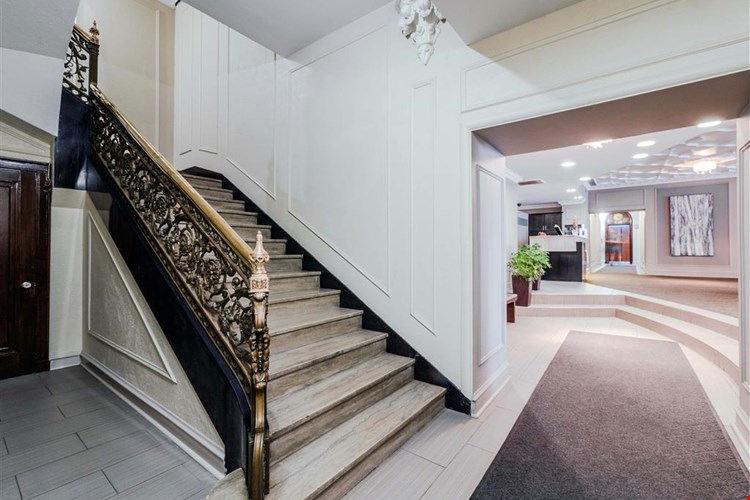 The Patricians Image 2