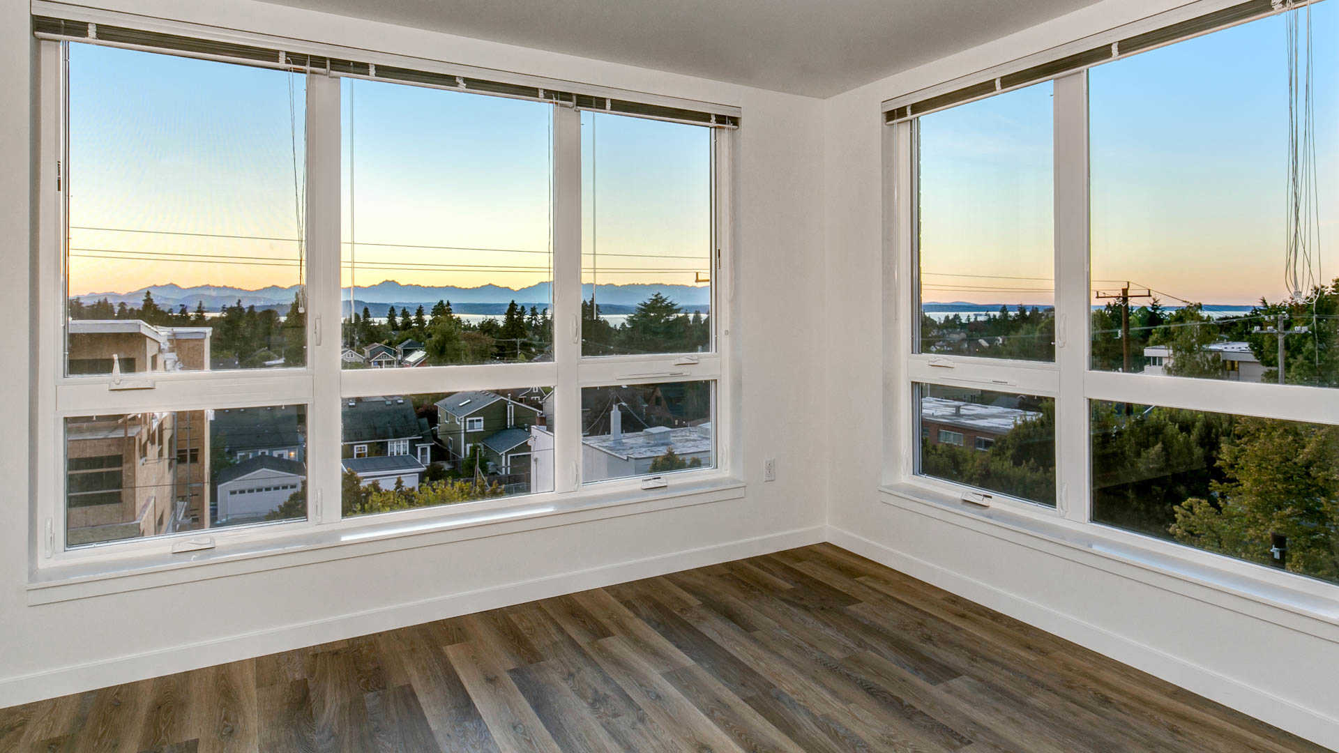 Springline  Image 15