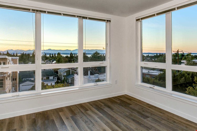 Springline  Image 15