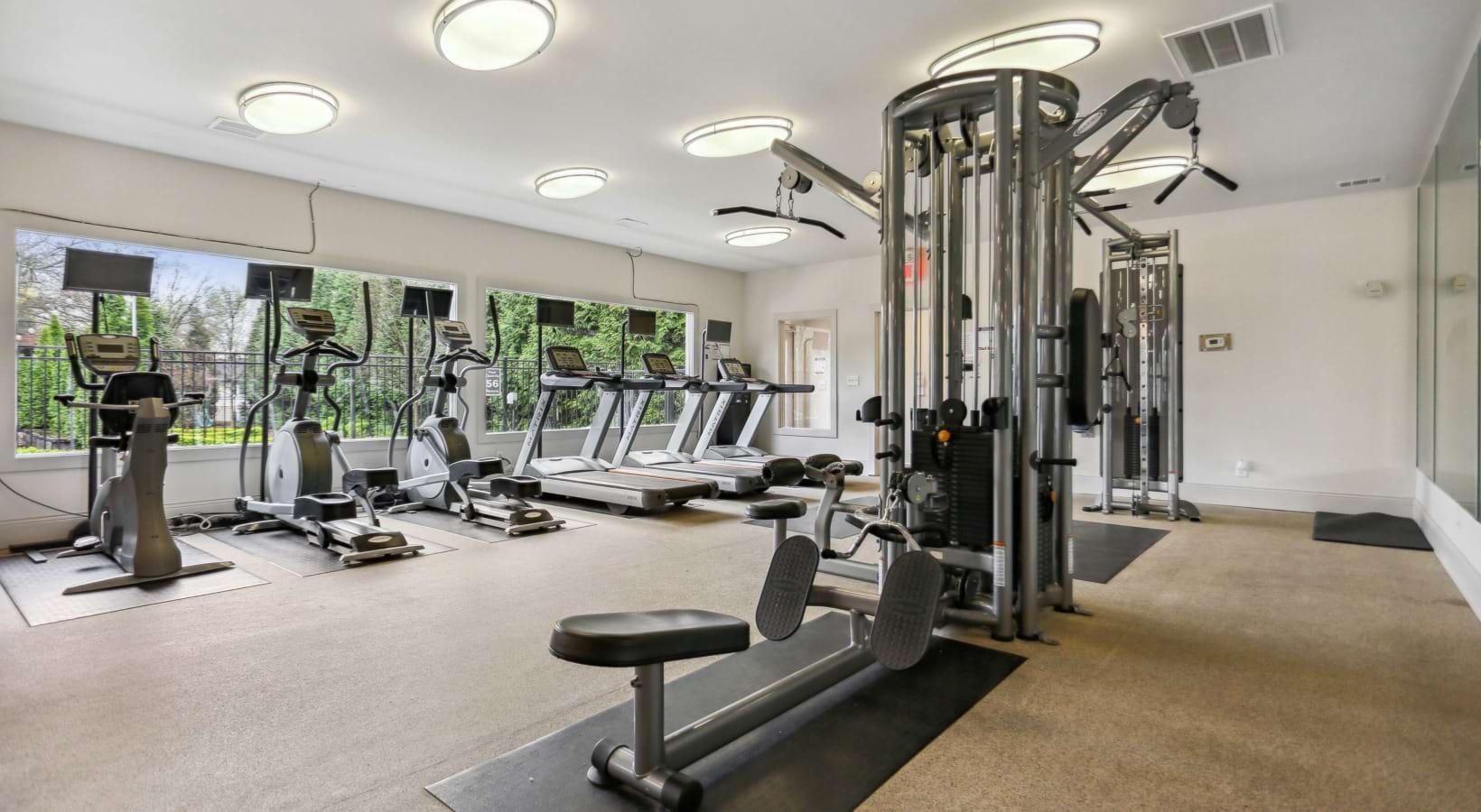 Forest Ridge at Terrell Mill Image 2