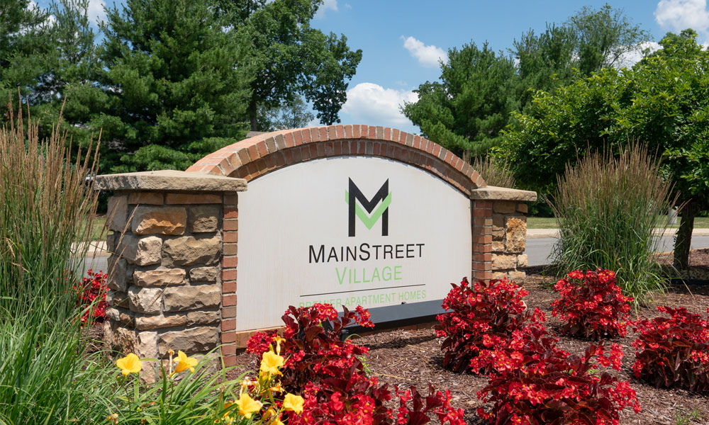 Elevate on main Image 31