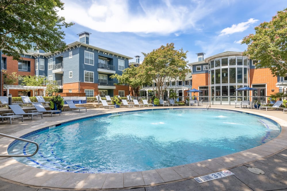 Marquis on Gaston Image 1