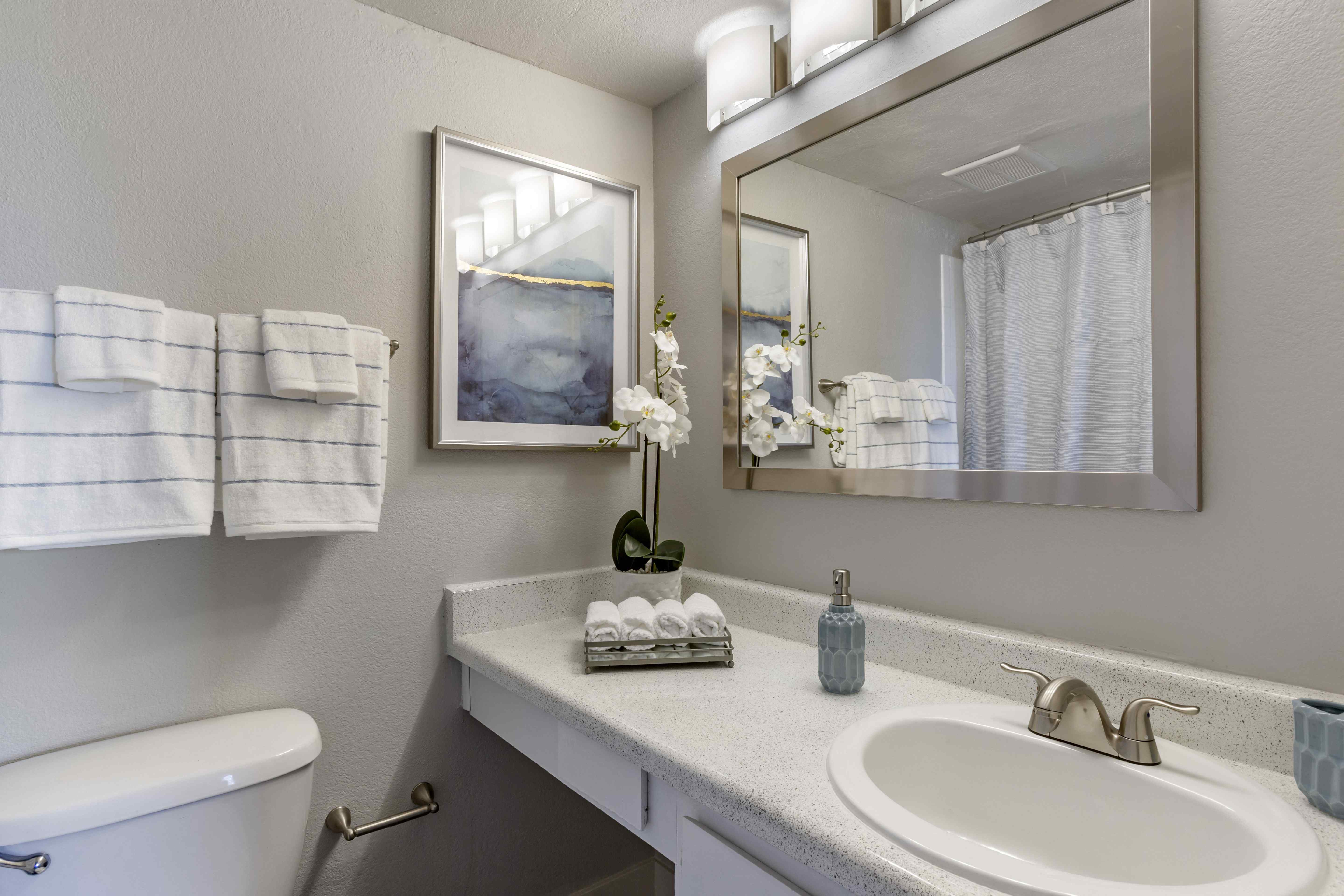 Presidio North Apartments Image 13