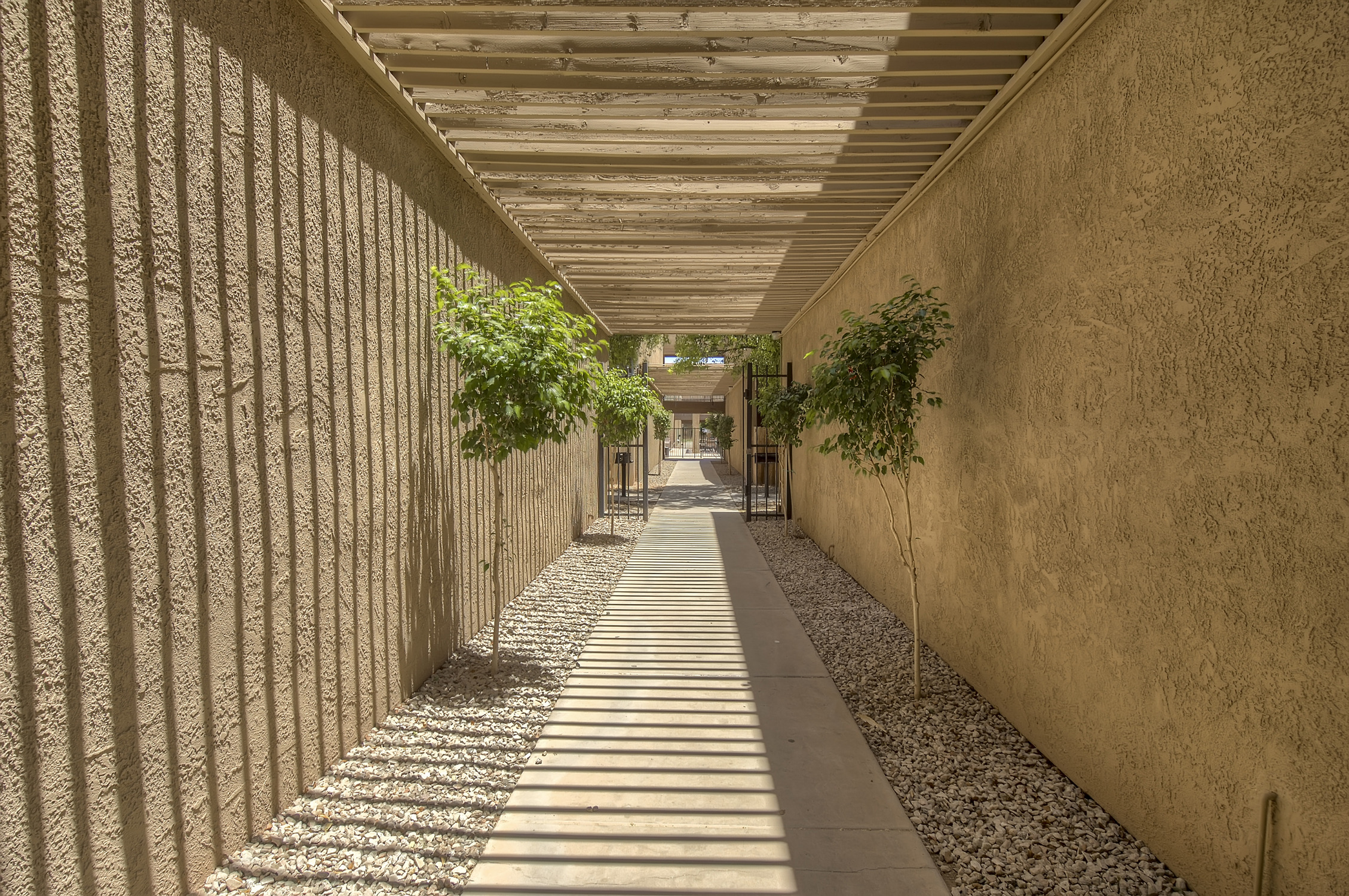 Lothlorien Apartments Image 25