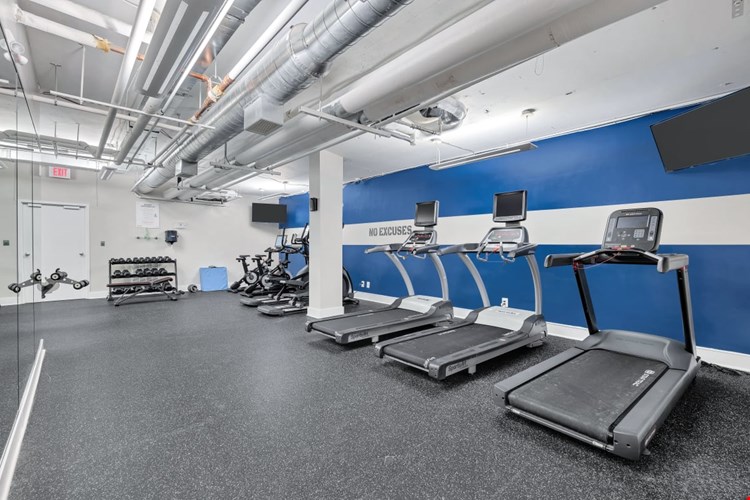 The Horizons Image 5