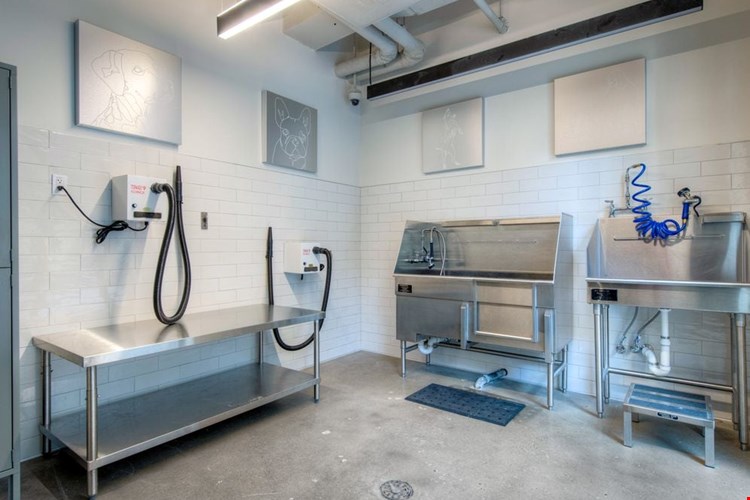 WAG dog spa with grooming equipment