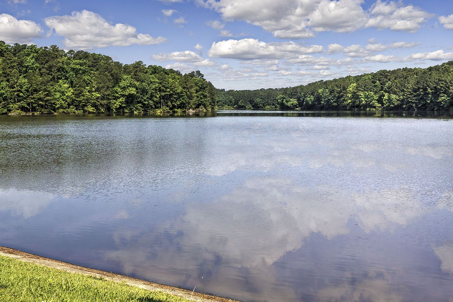 Camden Lake Pine Image 46