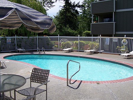 The Bing Image 3