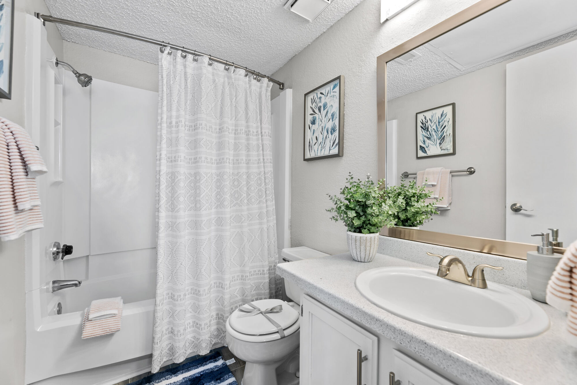 Park at Ashford Image 9