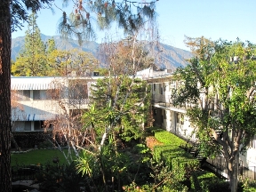 The Continental Arcadia Image 8