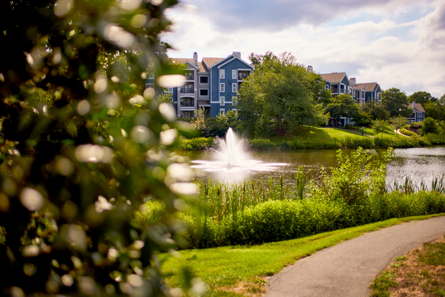 Lakeside Apartments Image 105