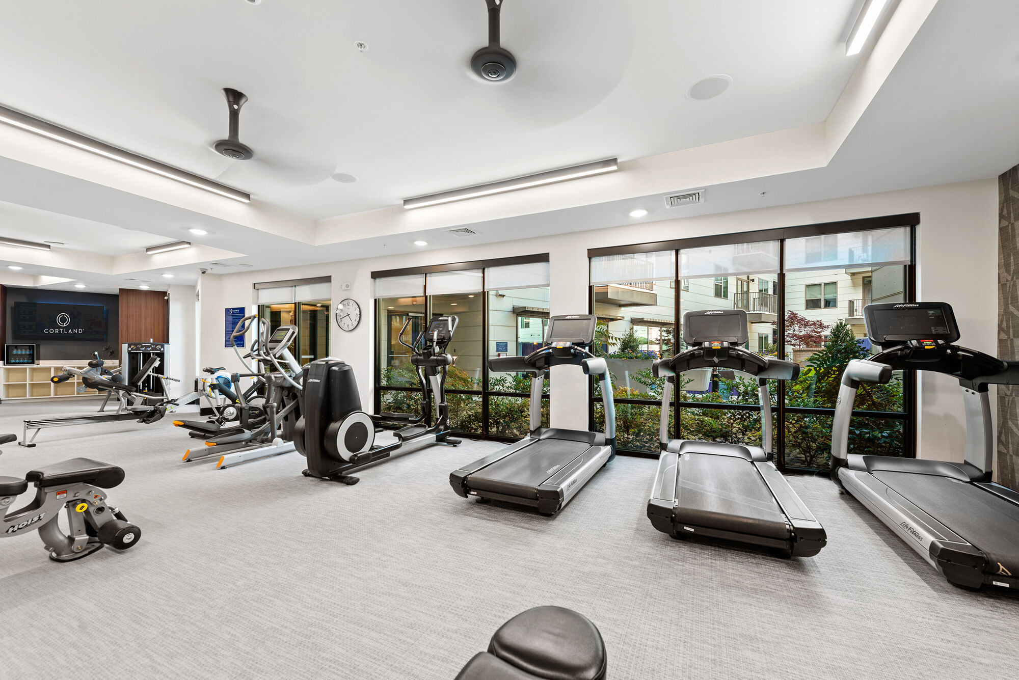 Cortland NoDa Image 13