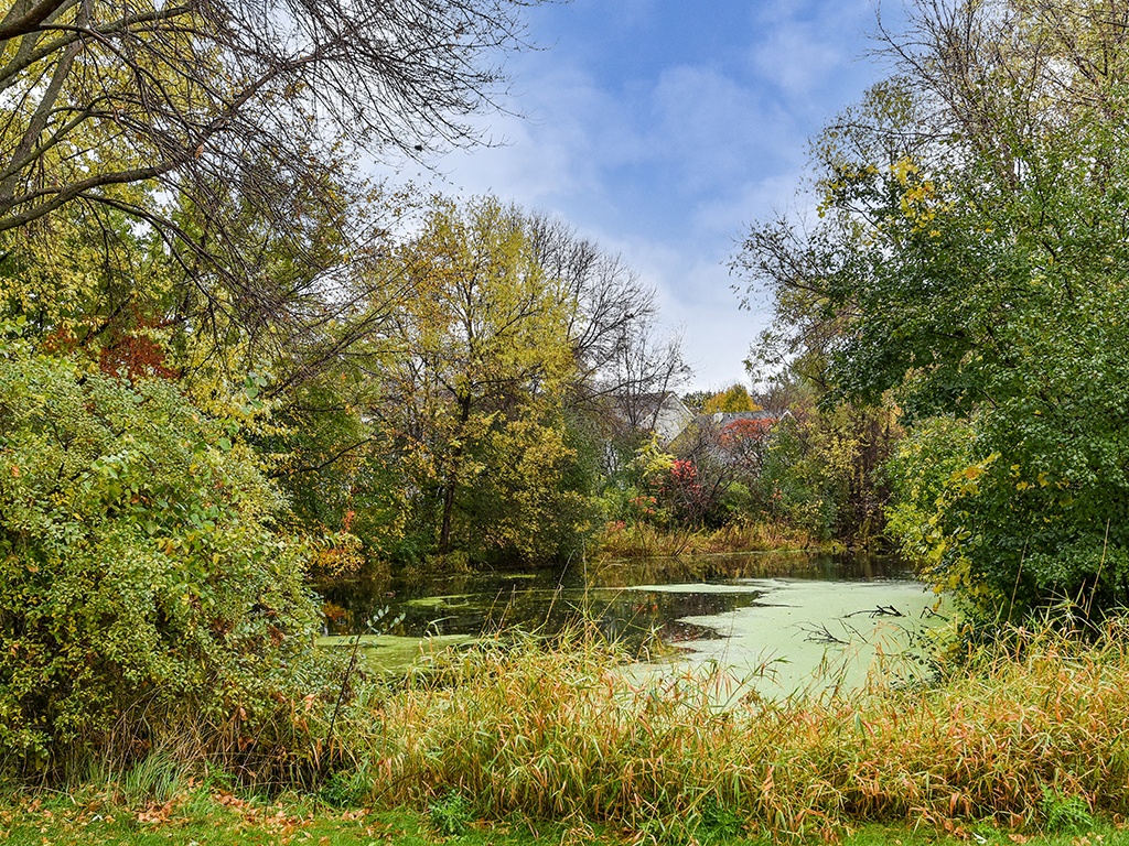 Birch Lake Townhomes Image 19