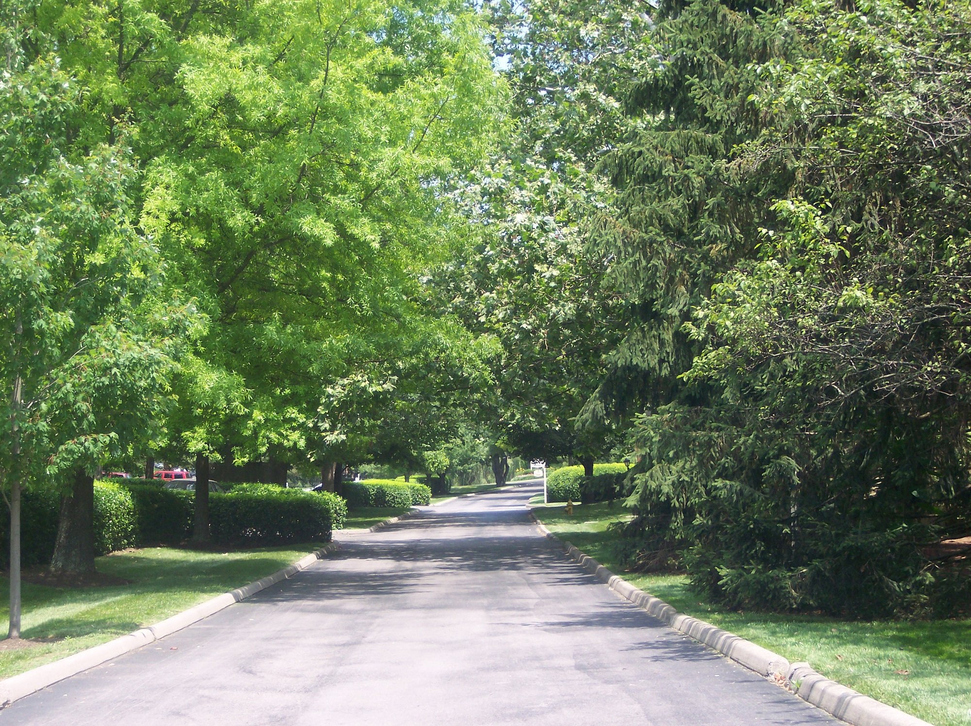 Milam Lane
