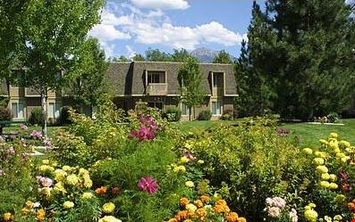 Villas at Vine Image 3