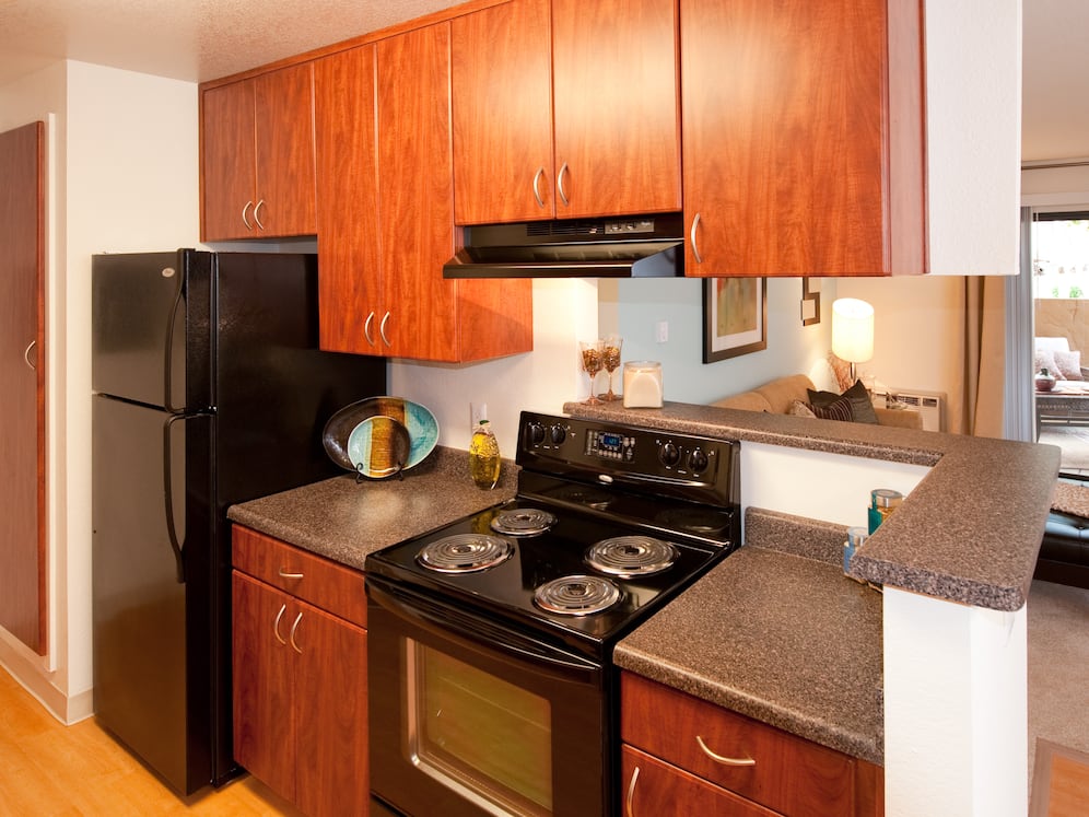 Classic Package I kitchen with espresso cabinetry, dark laminate countertops, black appliances, and hard surface flooring