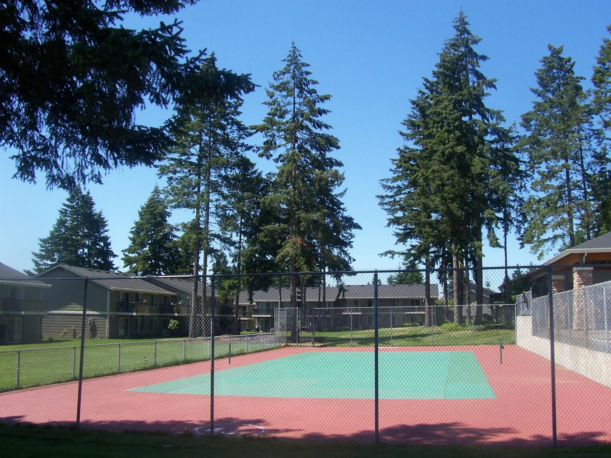 Meridian Firs Image 2