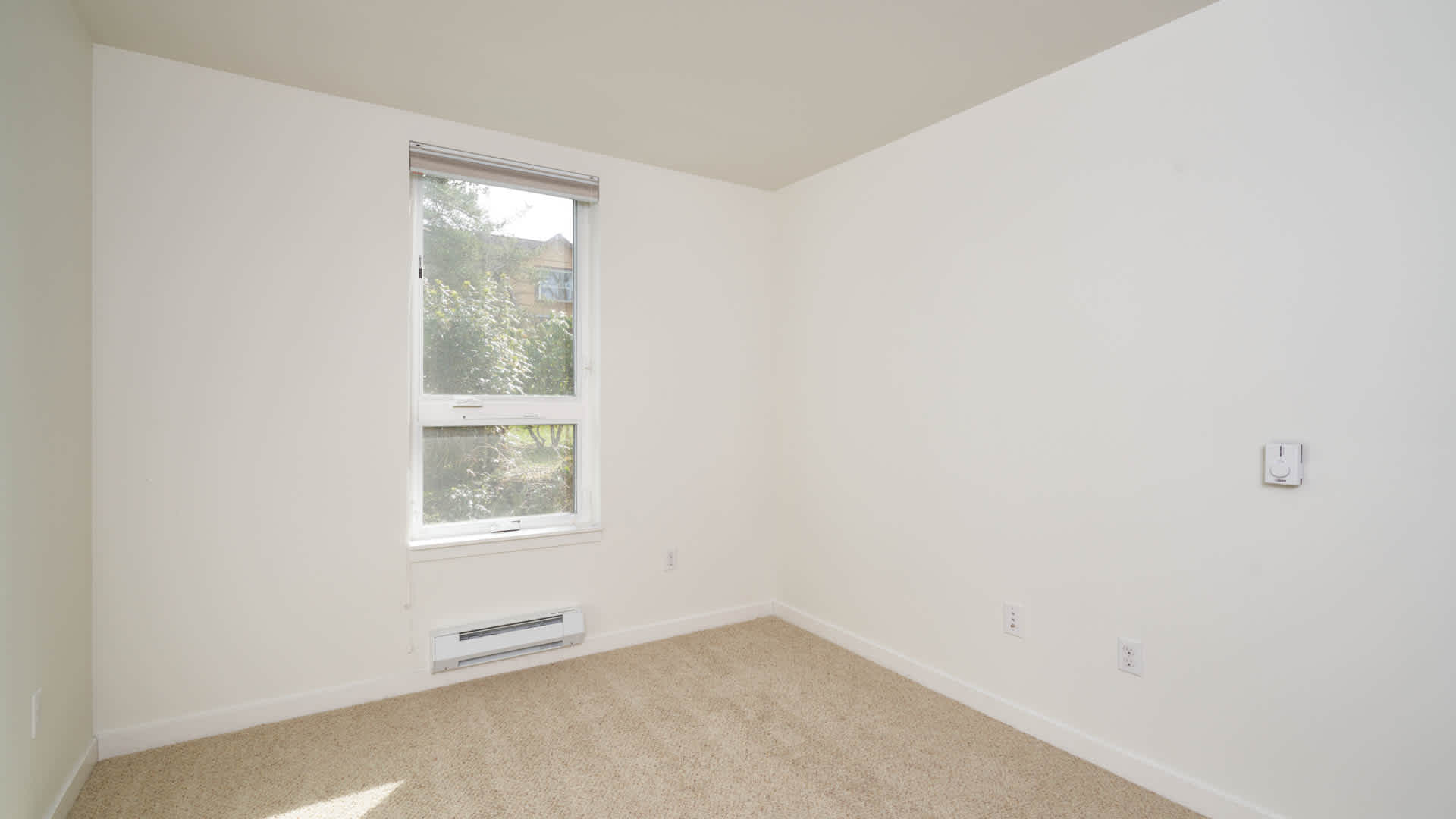 Springline  Image 26