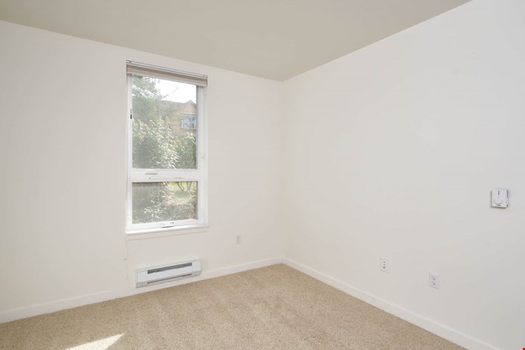 Springline  Image 26