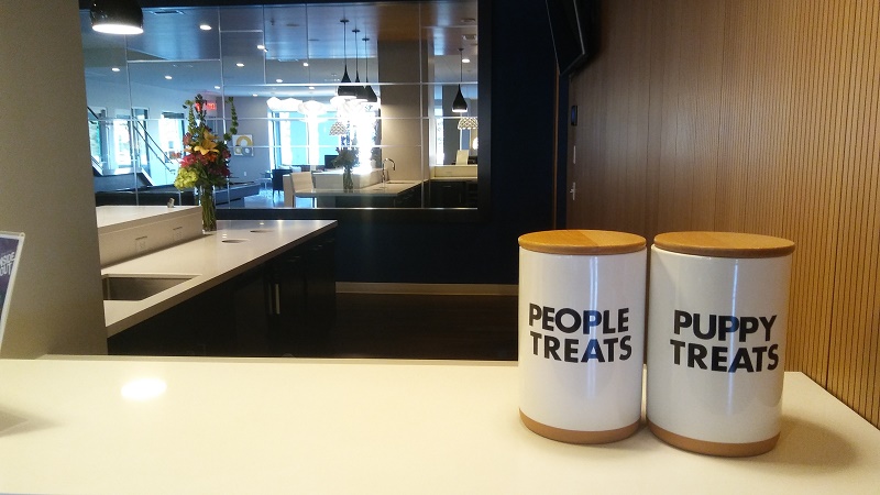 Arcata Apartments Image 14