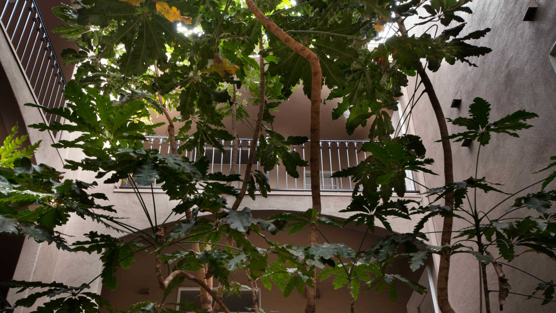 Westside on Barry Image 7