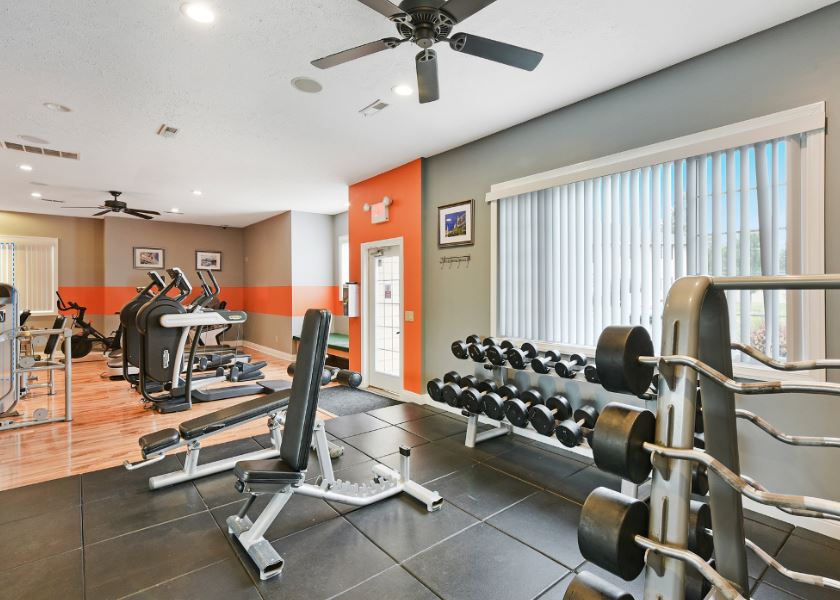 Forest Meadows Image 3