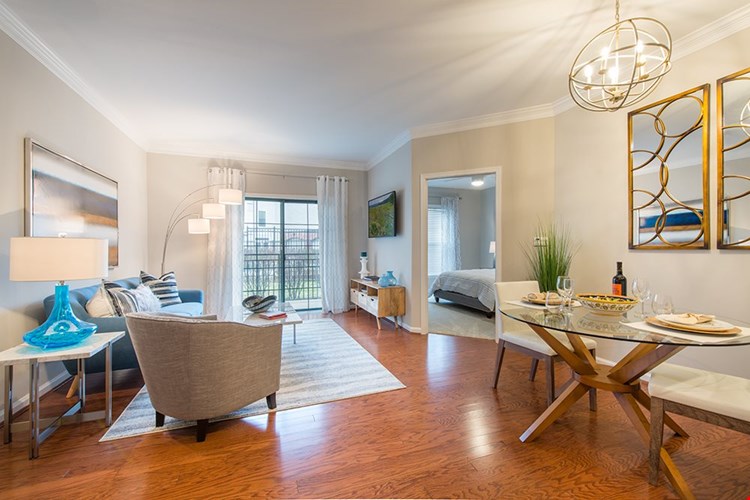 Cosmo at Lorton Image 7