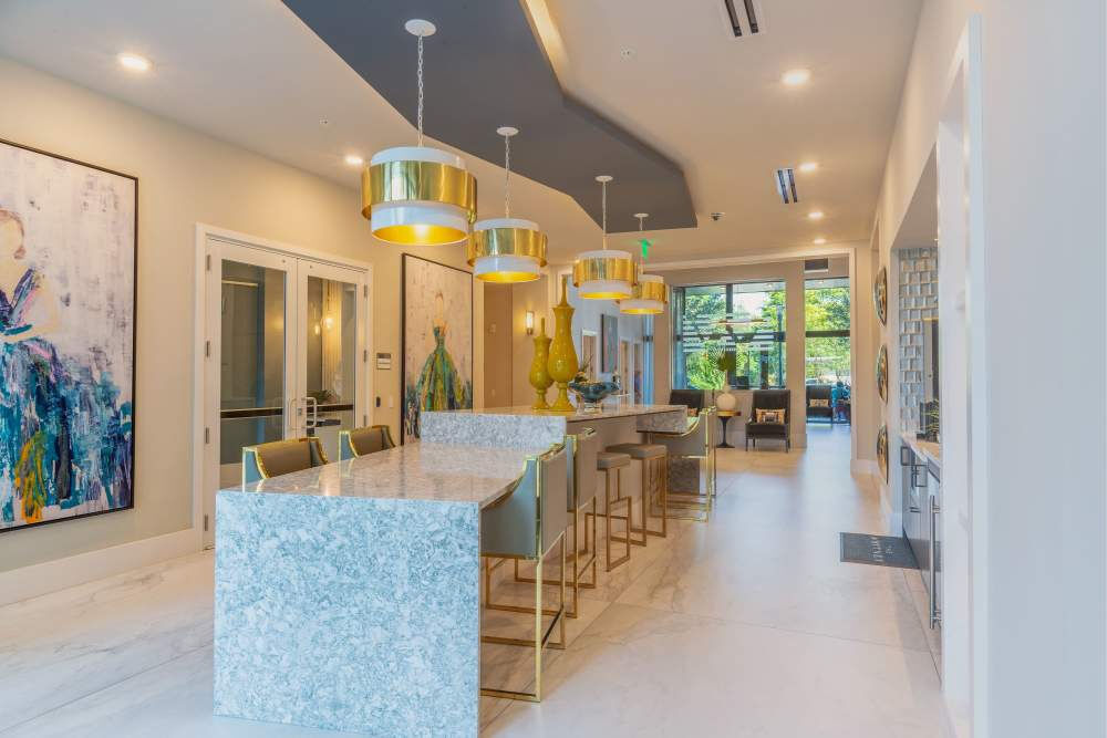 The Whitney Image 29