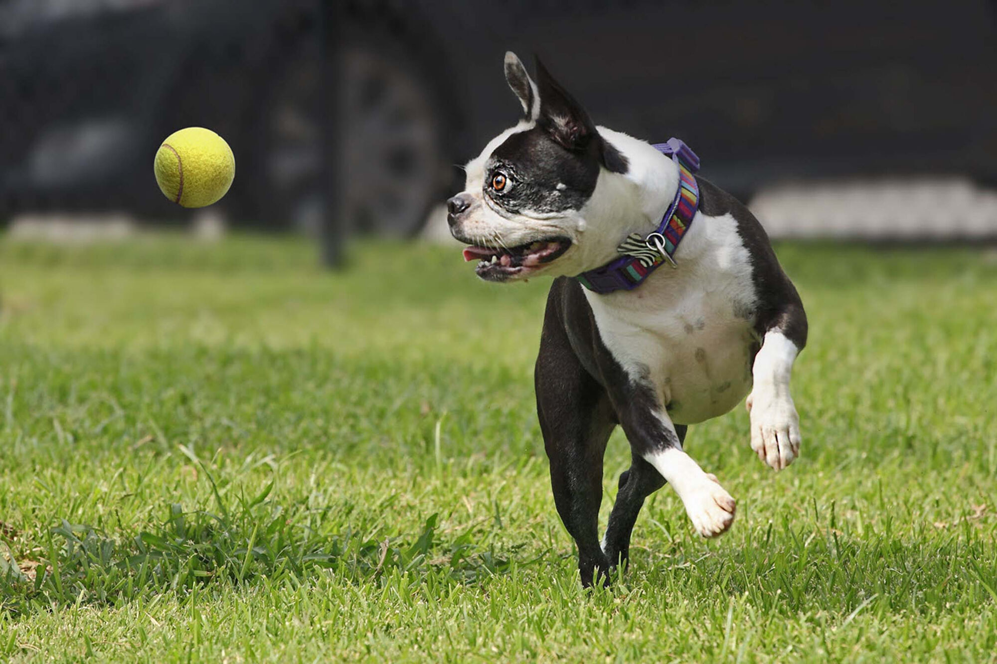 Camden Belleview Station Image 19