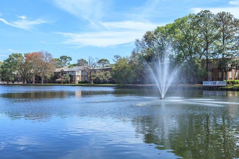 The Lakeside Nest Image 1
