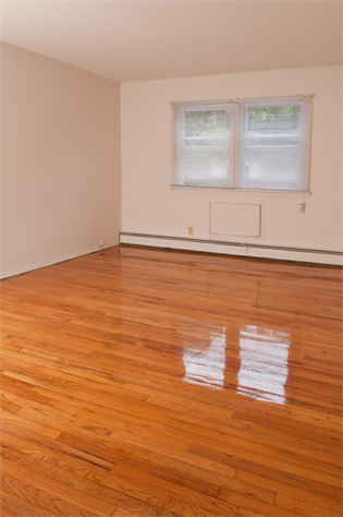 Tivoli Gardens Image 7