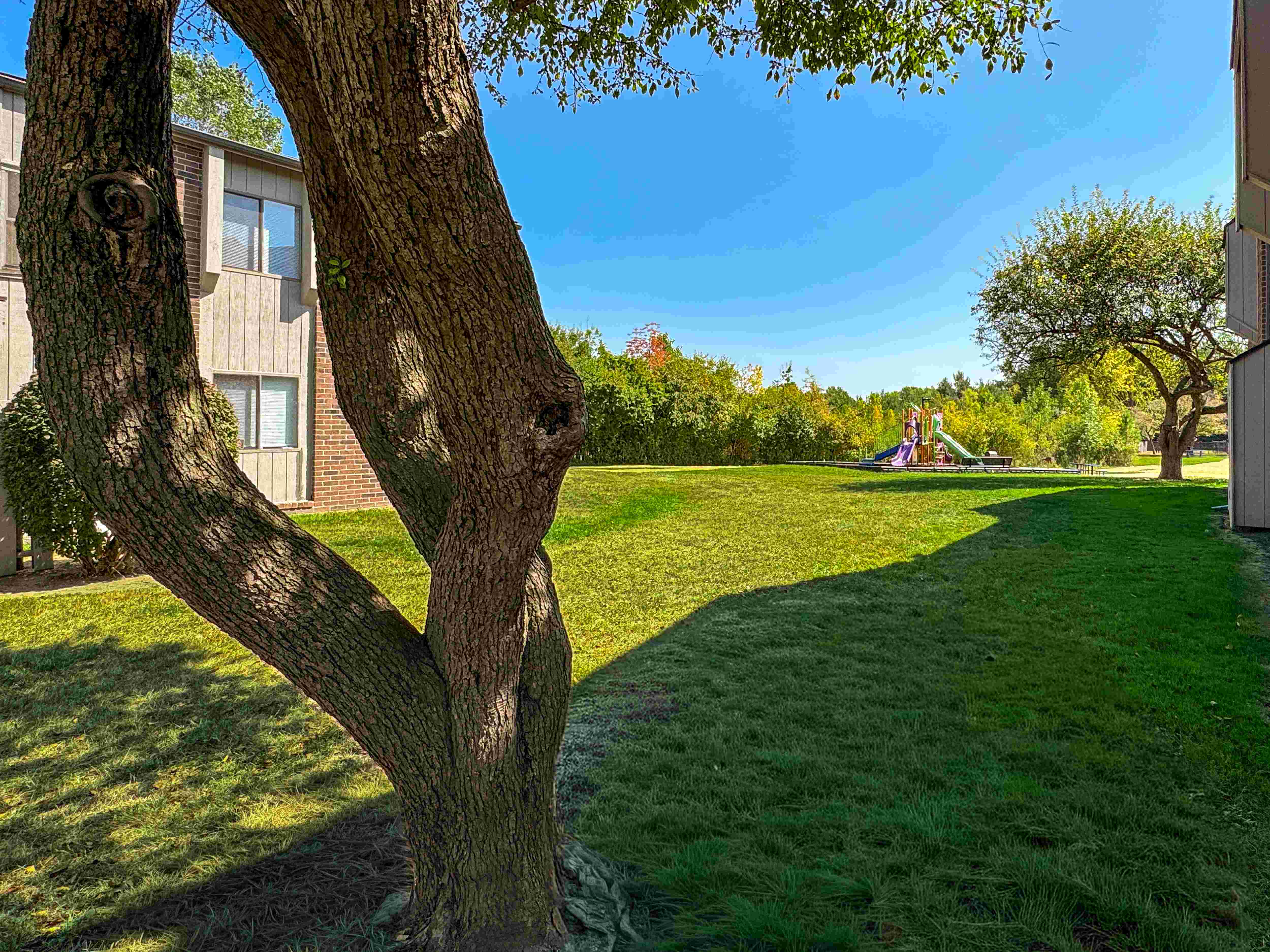 Expansive Greenspace at Three Oaks Apartments in Troy, MI