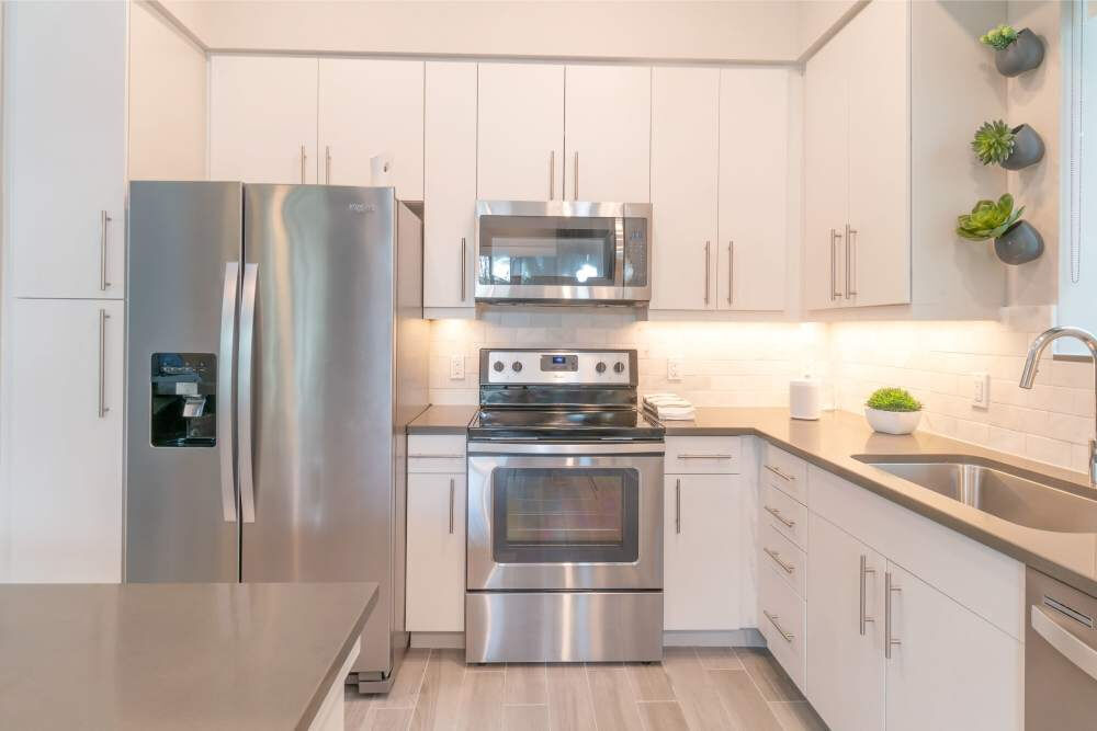 The Whitney Image 12