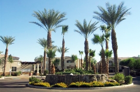 Villas on Bell Apartments Image 4