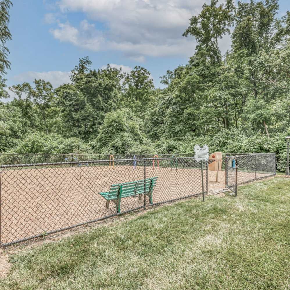 Timber Trails Image 4