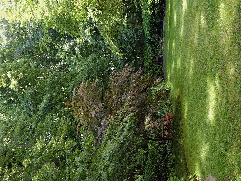 Green space with picnic tables