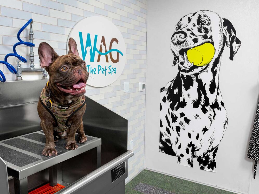 WAG Pet Spa