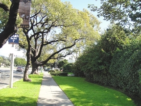 The Huntington Sunset Image 7