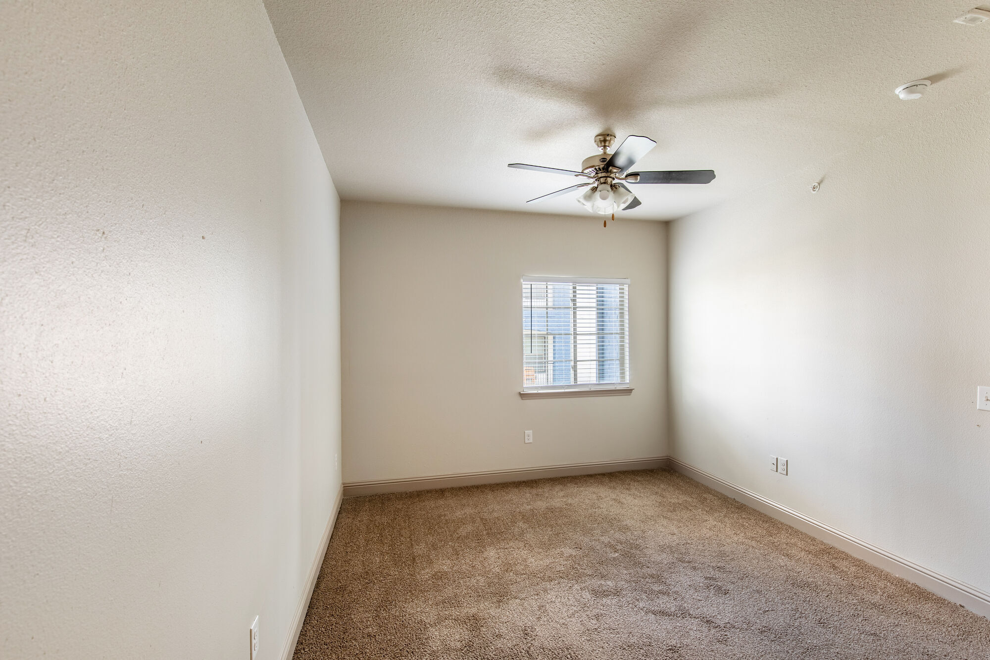 Remi Apartment Homes Image 47